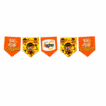 Próxima Imagem Do Produto